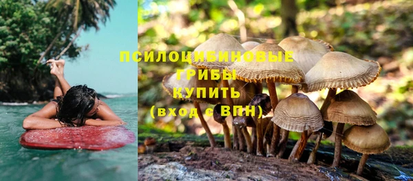 бутират Балабаново
